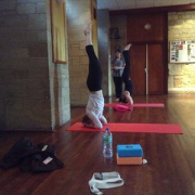 Image for Yoga with Sophie