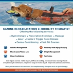 K9 Hydrofit