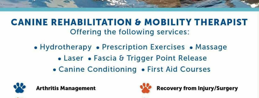 K9 Hydrofit